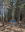 Natures' Edge Disc Golf