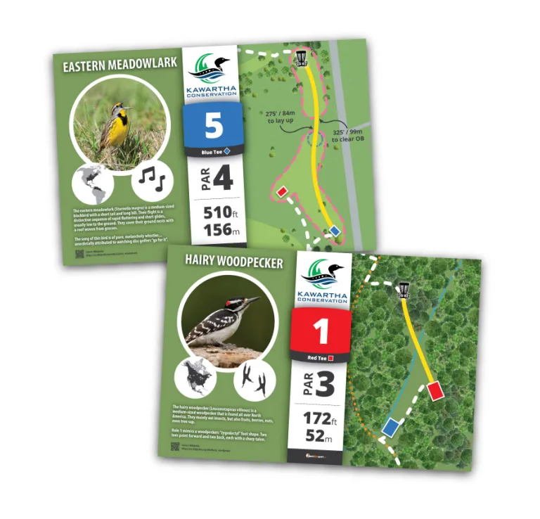 Premium Interpretive Tee Signs