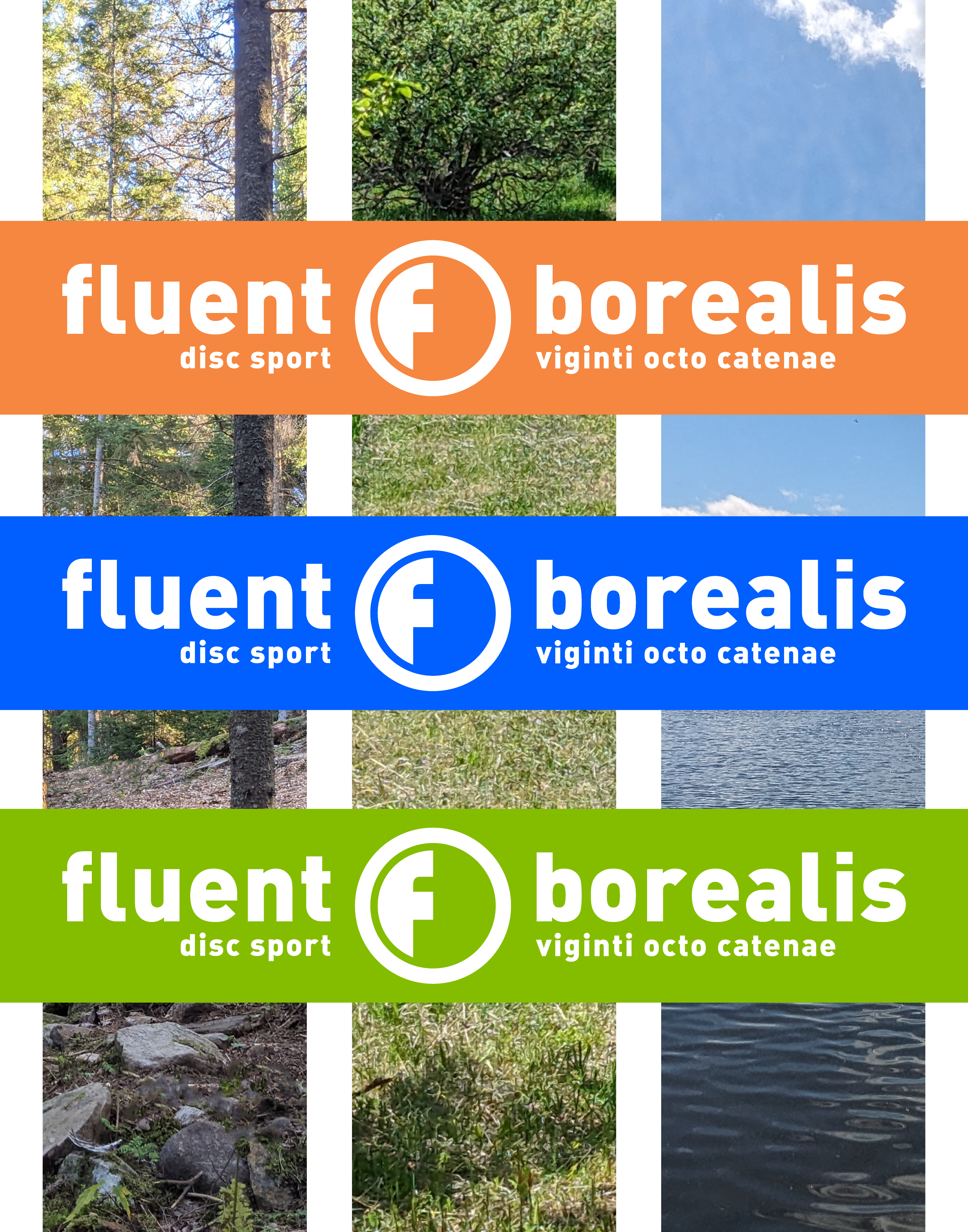 Borealis Colour Options